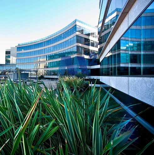 Picture of Oficina en alquiler