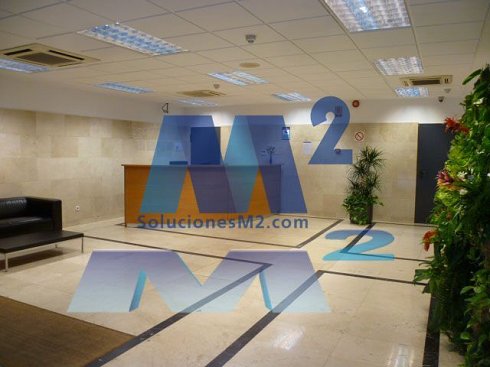 Fotograf�a de Oficina en alquiler