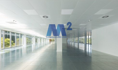 Picture of Oficina en alquiler