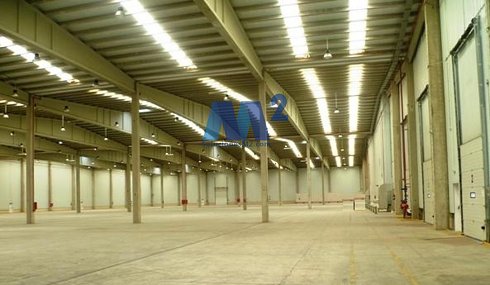 Fotografa de Nave logstica en alquiler