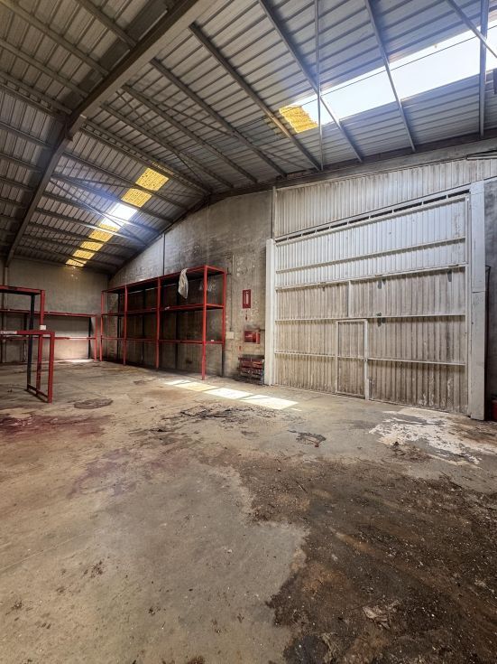 Fotografa de Venta 3 naves y 6000m2 de solar asfaltado y vallado.