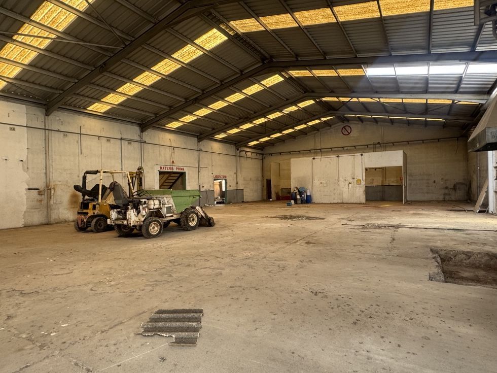 Fotografa de Venta 3 naves y 6000m2 de solar asfaltado y vallado.