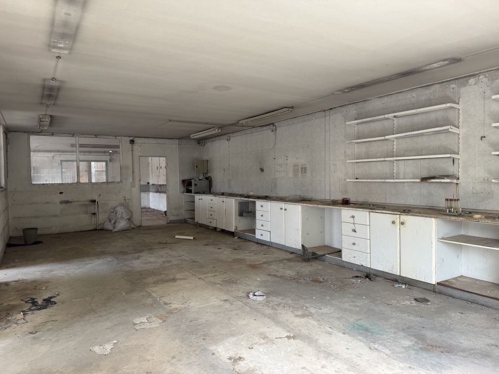 Fotografa de Venta 3 naves y 6000m2 de solar asfaltado y vallado.