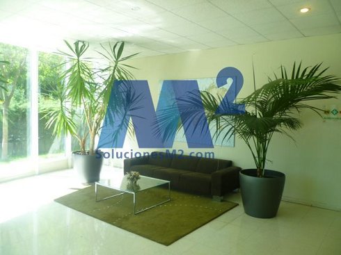Fotograf�a de Oficina en alquiler