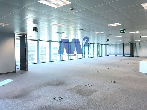 Picture of Oficina en alquiler