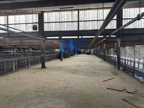 Fotograf�a de Nave industrial en alquiler